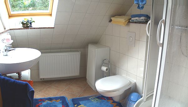 Das Bad der Ferienwohnung: Dusche, Waschbecken mit Spiegel und Beleuchtung, WC