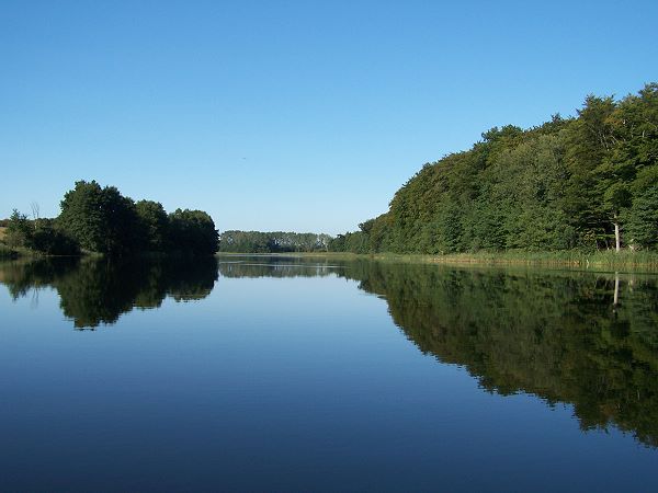 Umgebung der Ferienwohnung: Natur pur!