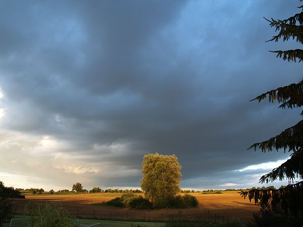 Umgebung der Ferienwohnung: Natur pur!