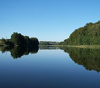 Umgebung der Ferienwohnung: Natur pur!      Für Detailansichten bitte auf das Bild klicken ...